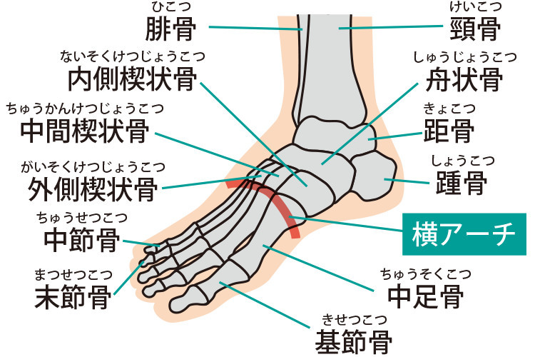 <span>3.</span>外反母趾ケア②骨格編