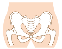 <span>2.</span>出産後の骨盤の歪み