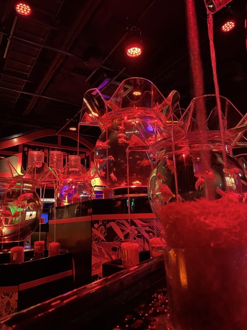 最後に夏を満喫！！