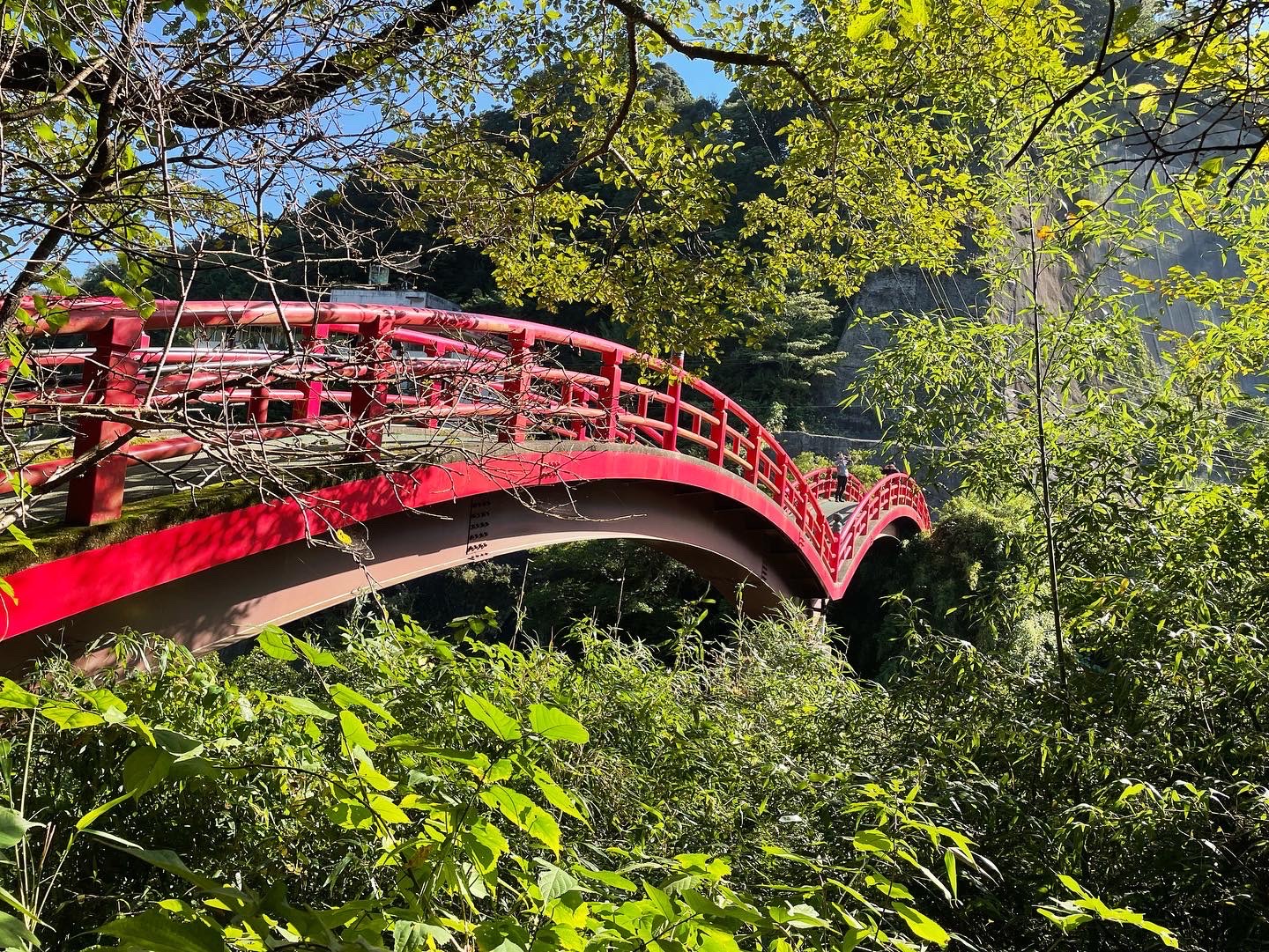 天気に恵まれて🏍