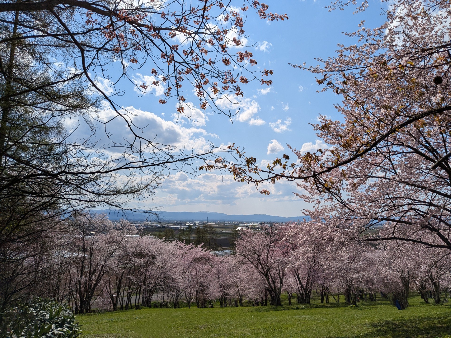 本日(5/7)から通常営業です！
