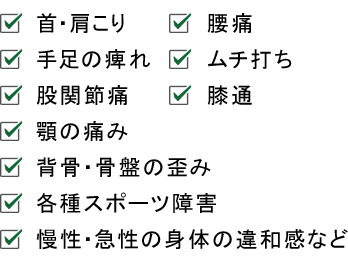 首・肩こり　腰痛　手足の痺れ　ムチ打ち　股関節痛　膝通　顎の痛み　背骨・骨盤の歪み　各種スポーツ障害　慢性・急性の身体の違和感など