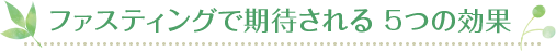 ファスティングで期待される 5つの効果
