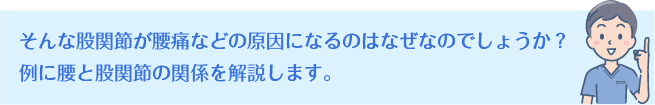 そんな股関節が腰痛などの原因になるのはなぜなのでしょうか？例に腰と股関節の関係を解説します。