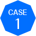 case 1