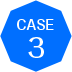 case 3