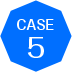 case 5